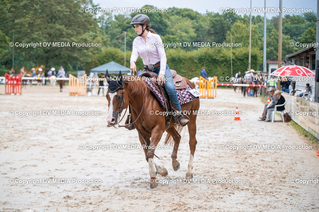 ZS2_4136 | dv-media-shop - Realisiert mit Pictrs.com