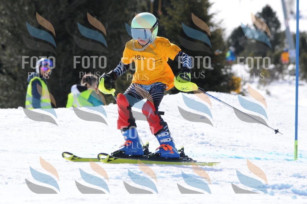 C9020 | holidayphoto