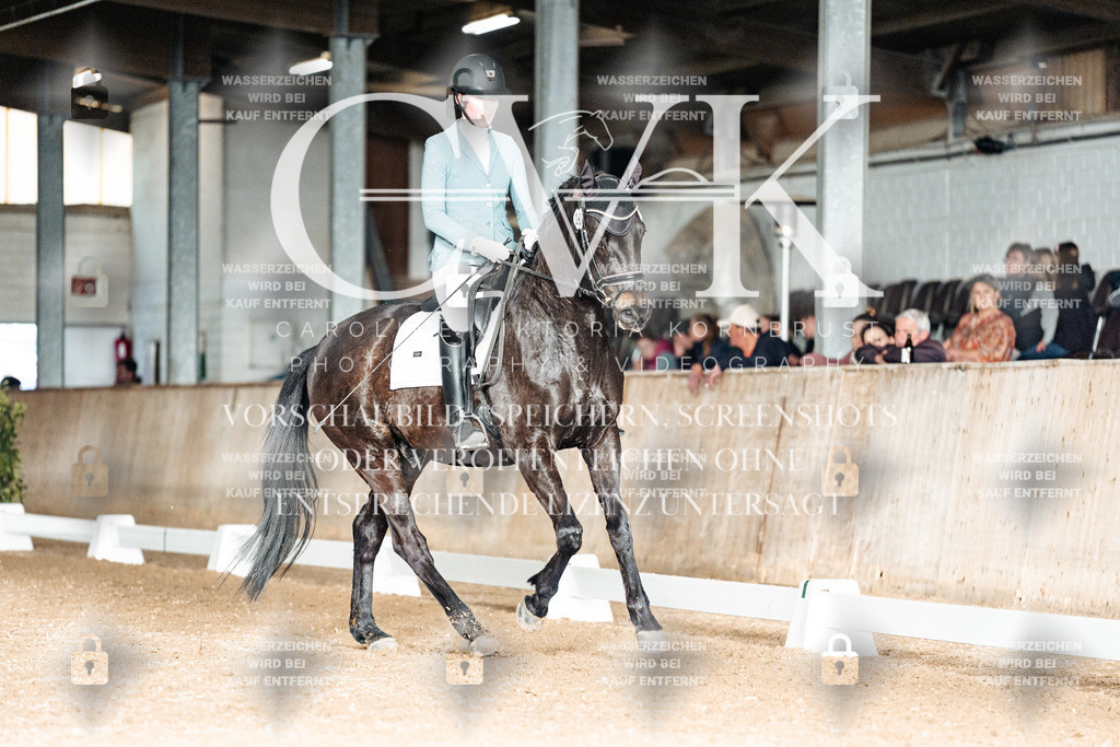 CK903222 | Turnierfotografie Pferdefotografie Trier Rheinland-Pfalz Pferdesport Reitsport Tierfotografie Sportfotografie Pferdevideo Pferdevideografie Equestrianvideography equestrianphotography  - Realized with Pictrs.com