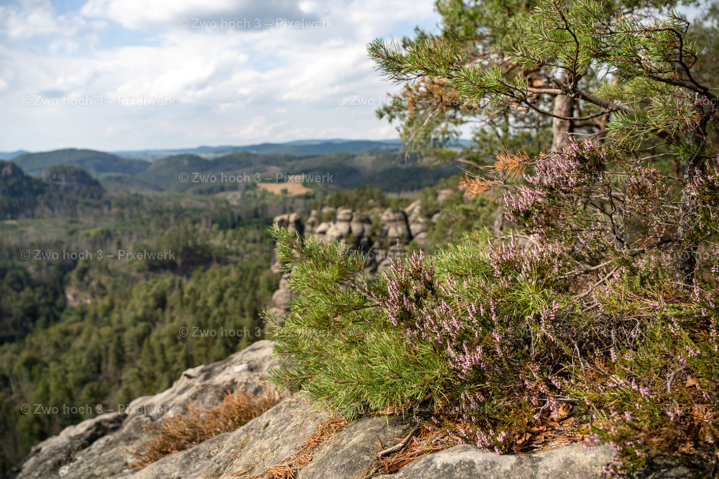 Grosser_Teichstein_Aussicht_Kantstein_Lorenzsteine_Heidekraut | 2022-08-30_Waldbrandgebiete_1 - Realisiert mit Pictrs.com
