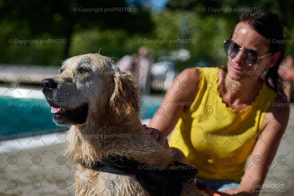 231_202509_4Hundebadetag_NZ9_2895 | proPHOTO - Realisiert mit Pictrs.com