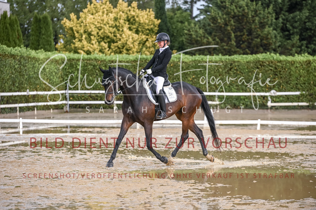 Schugtsche-Aluta25-54.Dressurprf.L1Trense-1 | Schugtsche Fotografie - Realisiert mit Pictrs.com