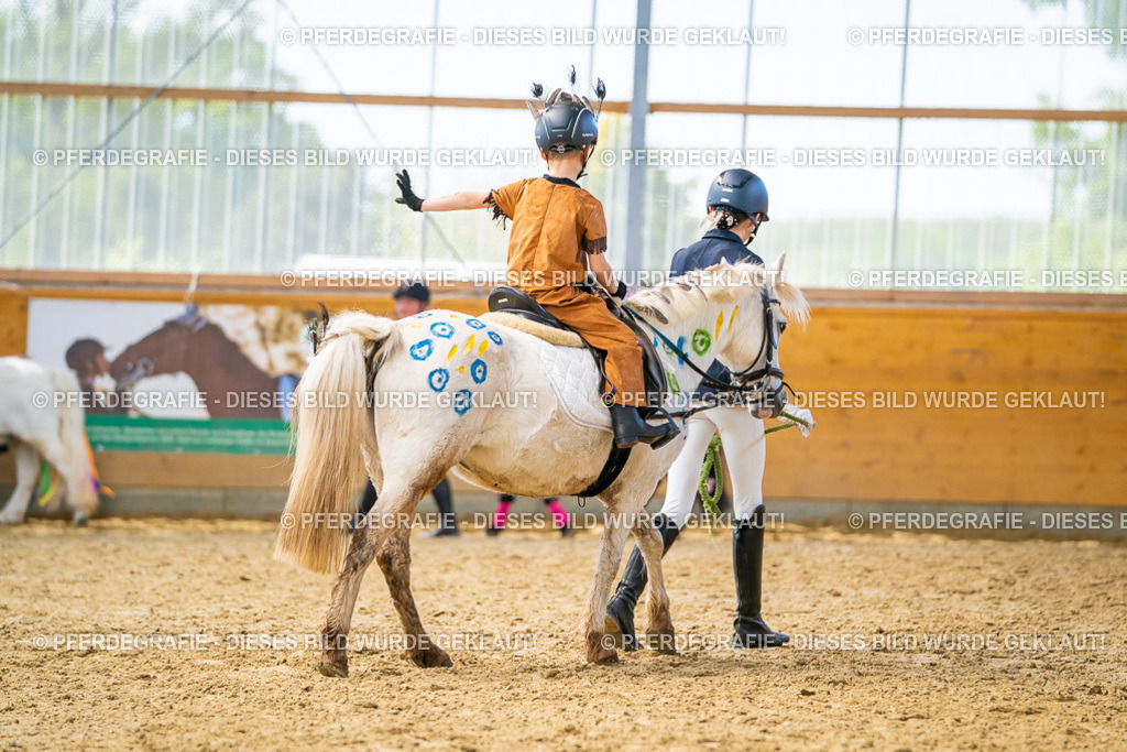 DSC09869 | Pferdegrafie