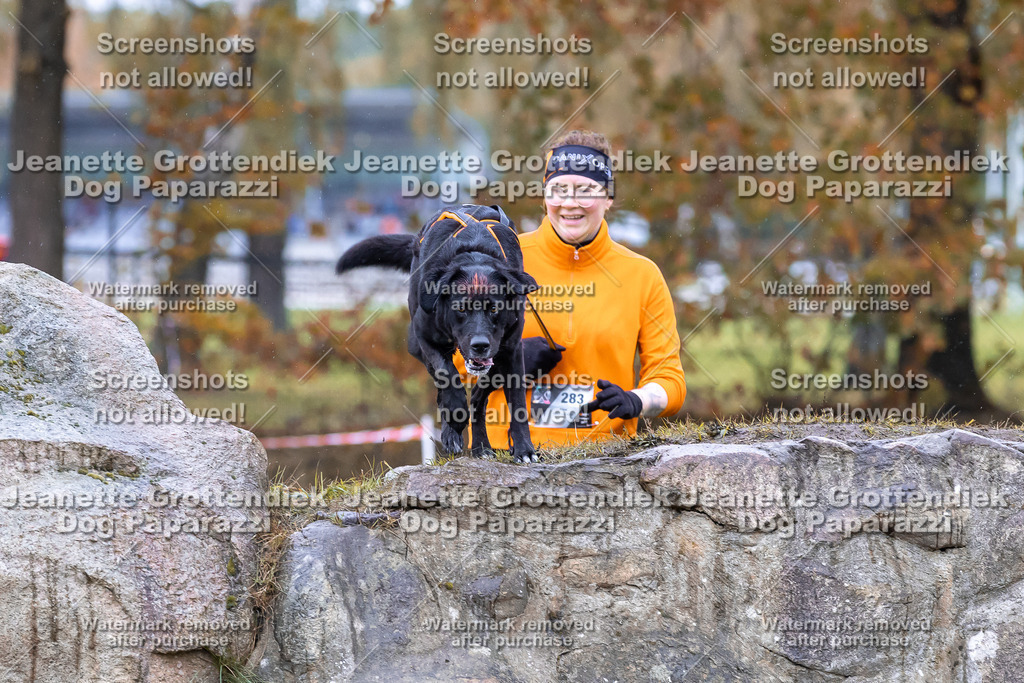 Dog Paparazzi - SD CaniX Championship 2025-821 | Dog Paparazzi Jeanette Grottendiek Fotografie & Videografie - Realisiert mit Pictrs.com