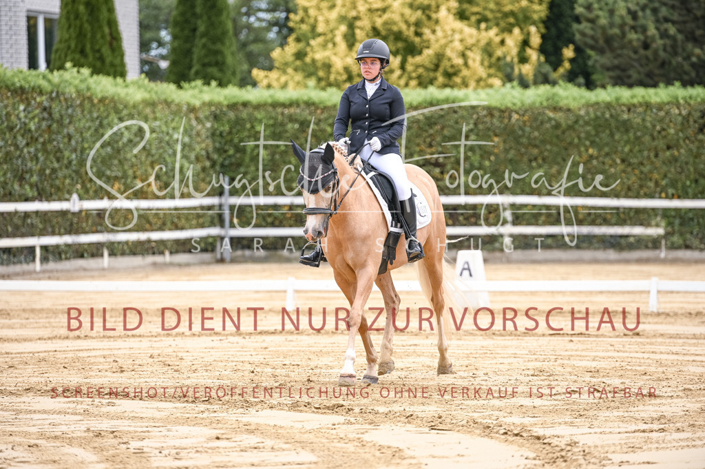 Schugtsche-Aluta25-42.EDressur -47 | Schugtsche Fotografie - Realisiert mit Pictrs.com