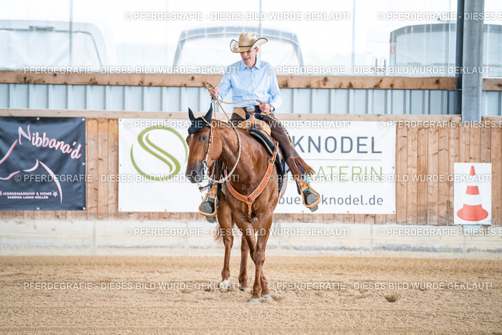 DSC07741 | Pferdegrafie