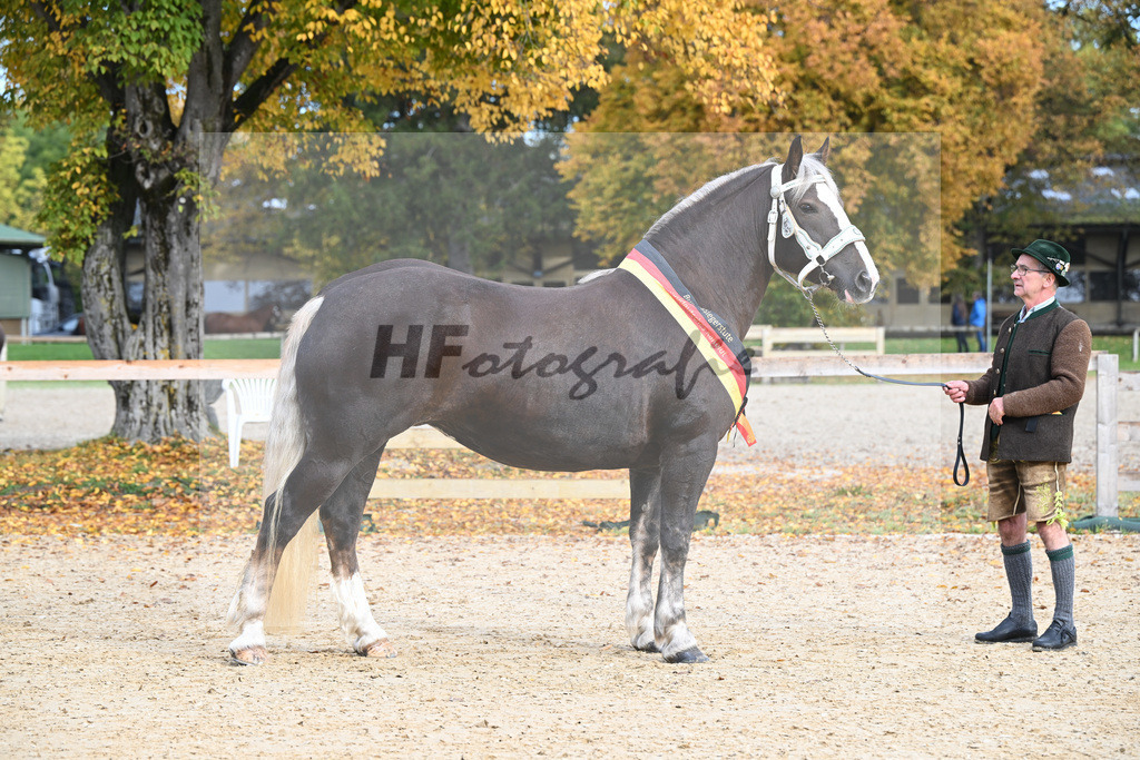 Kat-Nr. 43 Oxana_Steinle_53223048 | hf-fotografie - Realisiert mit Pictrs.com