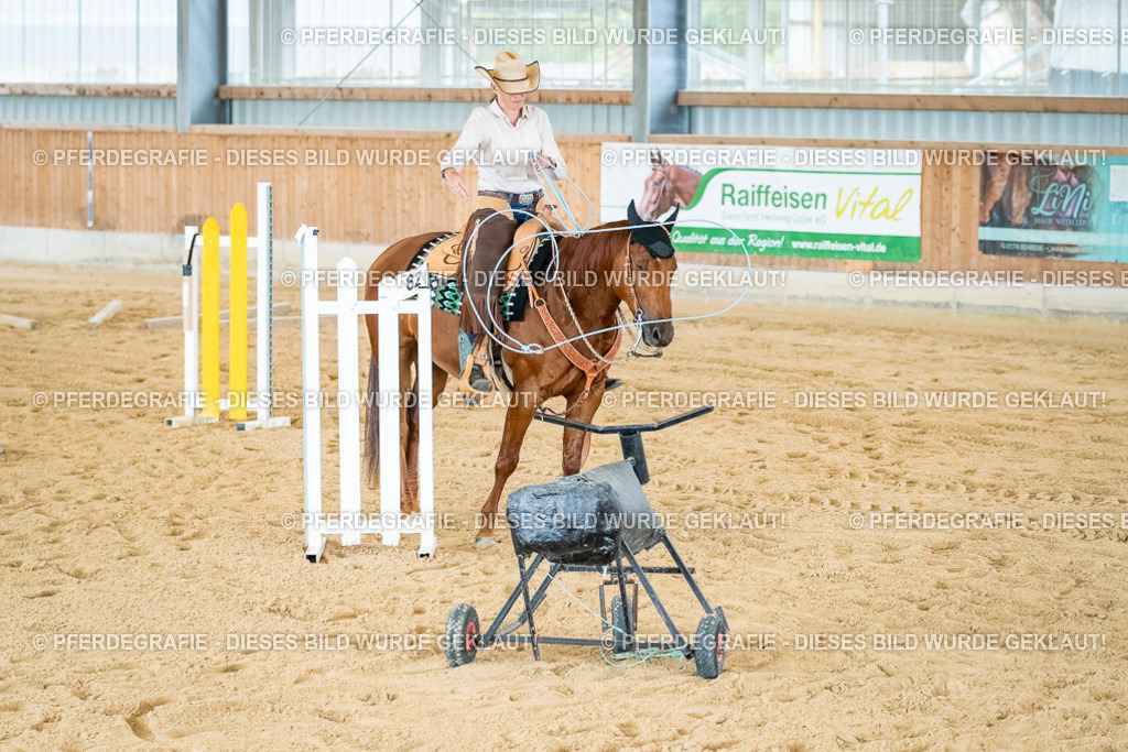 DSC07395 | Pferdegrafie