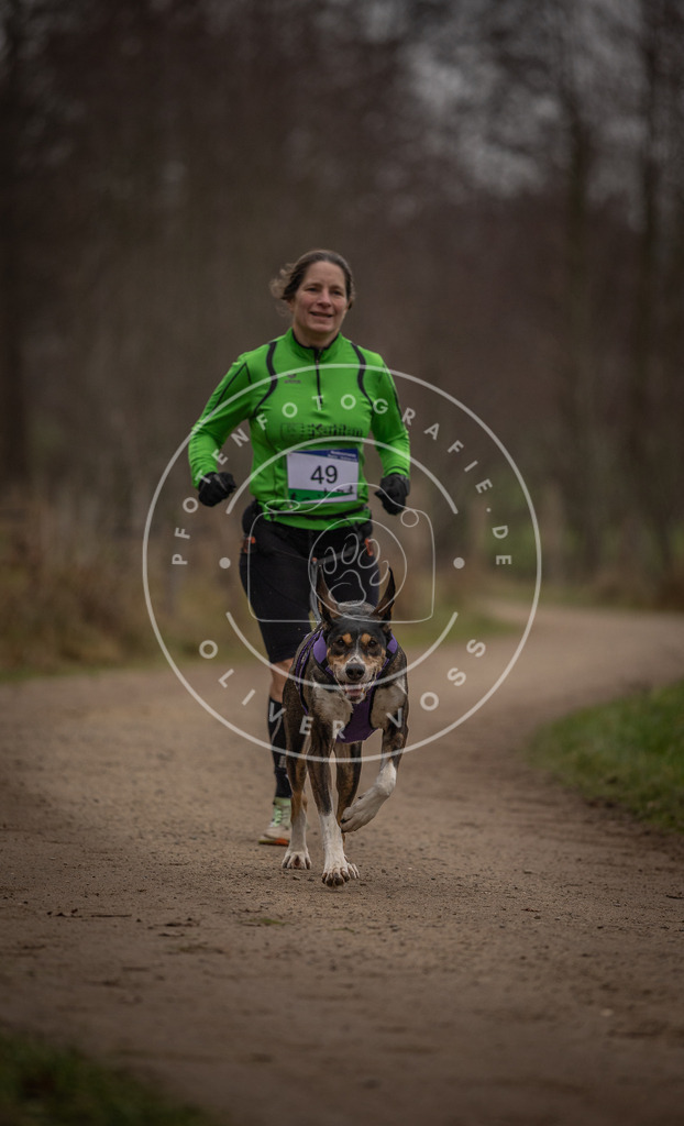 Pfotenfotografie_DV3A2783 | Hundefotografie, Tierfotograf, Pfotenfotografie, Fotoshooting Hund, Hunde Portrait, Hundesport, Hundeportraits, Heideshooting, Hunde, Sportfotograf, Hundefotograf, Turnierhundsport, THS,  - Realisiert mit Pictrs.com