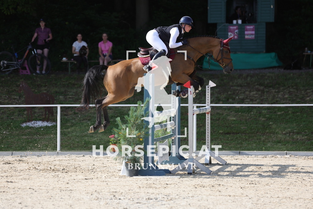 0P6A1090 | Willkommen bei Brunnmayr - Design & Fotografie – Ihrem Spezialisten für Reitturniere und Pferdeveranstaltungen in Oberösterreich, Salzburg und Bayern! Seit über 17 Jahren sind wir leidenschaftlich dabei.
