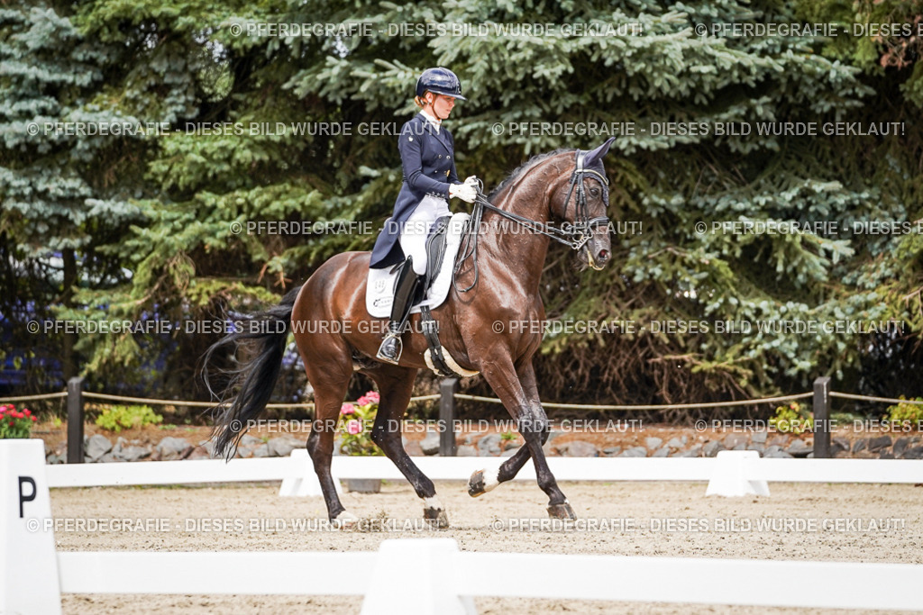 DSC06066 | Pferdegrafie