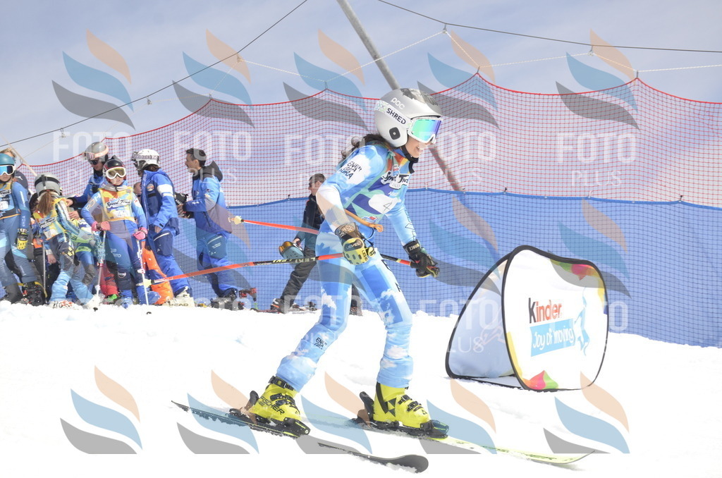 _ELE8497 | holidayphoto