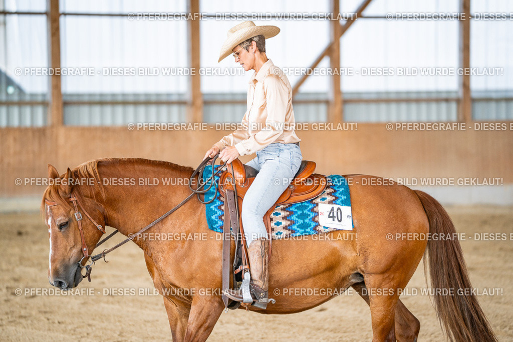 DSC09203 | Pferdegrafie