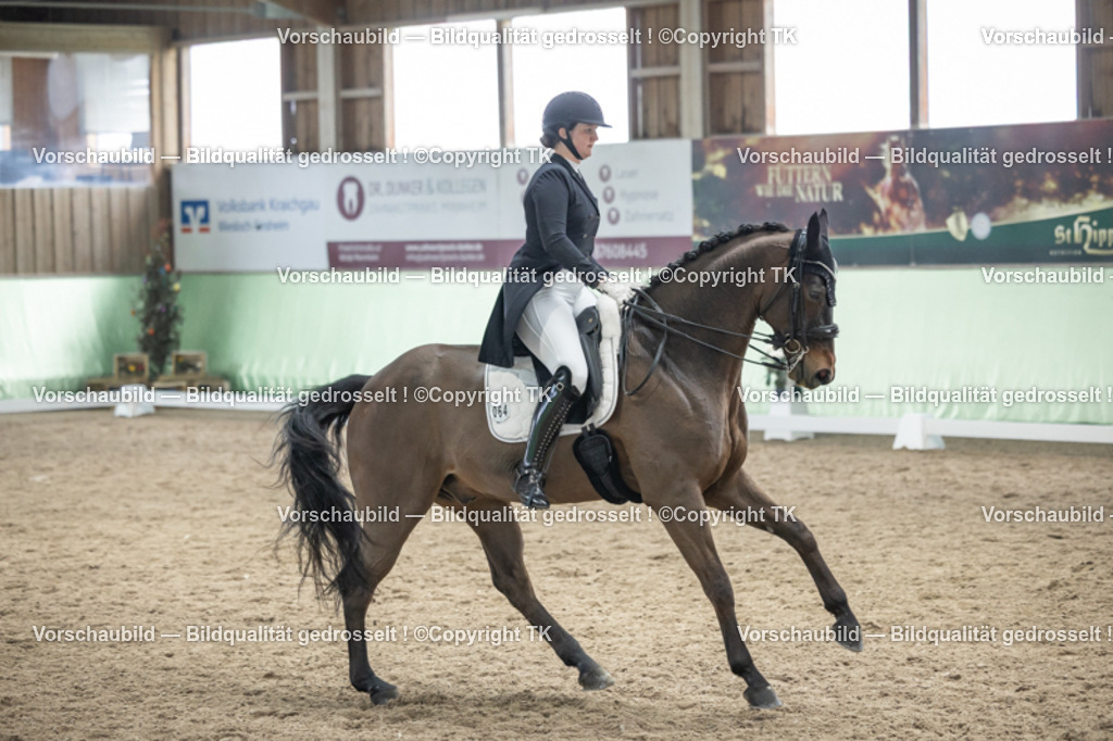 _D5A6308 | Emotionale Pferde- & People-Fotografie rund um Heidelberg, Leimen & Umgebung. Natürliche Fotos von Pferd, Mensch & Familie. Jetzt Termin sichern!