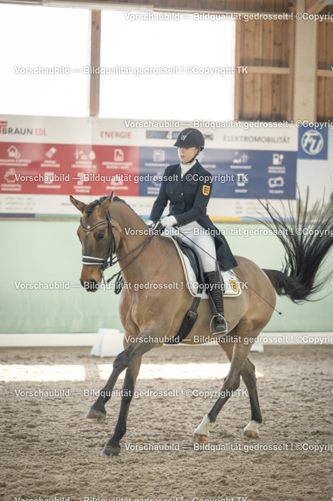 _D5A2328 | Emotionale Pferde- & People-Fotografie rund um Heidelberg, Leimen & Umgebung. Natürliche Fotos von Pferd, Mensch & Familie. Jetzt Termin sichern!