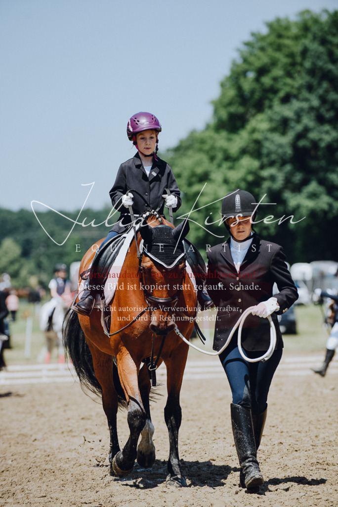DSC_2217 | Pferde- und Turnierfotografie in Westsachsen. Pferdeportraits, Auftragszeichnungen und intuitive Kunst.