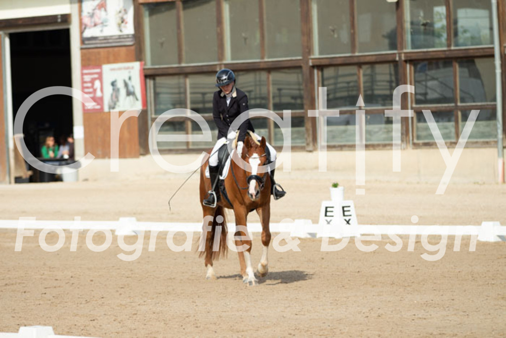 IMG_0689 | Creatify Fotografie