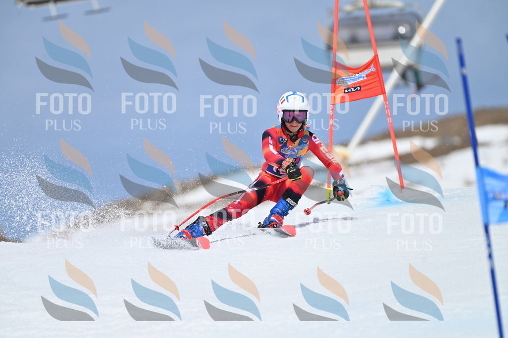 BGV_1892 | holidayphoto