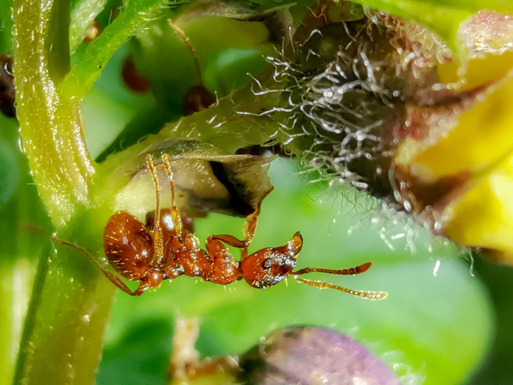 PSX_20230524_232511 | mtkfoto_ - Realisiert mit Pictrs.com