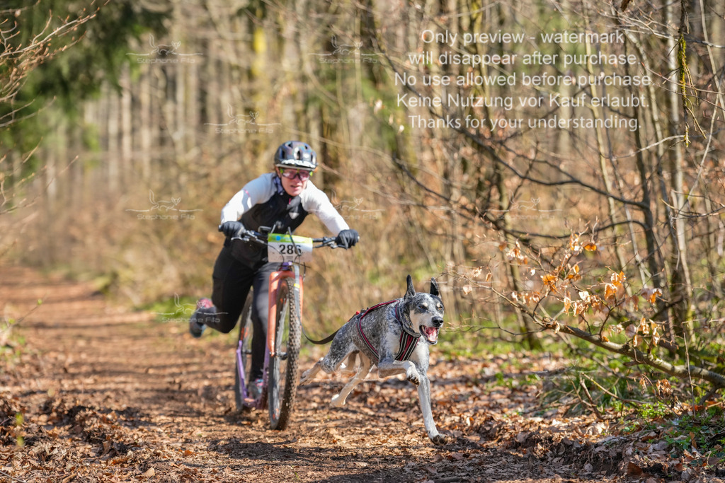 Scooter_kurz_So-4 | stephaniefillaphotographie - Realisiert mit Pictrs.com