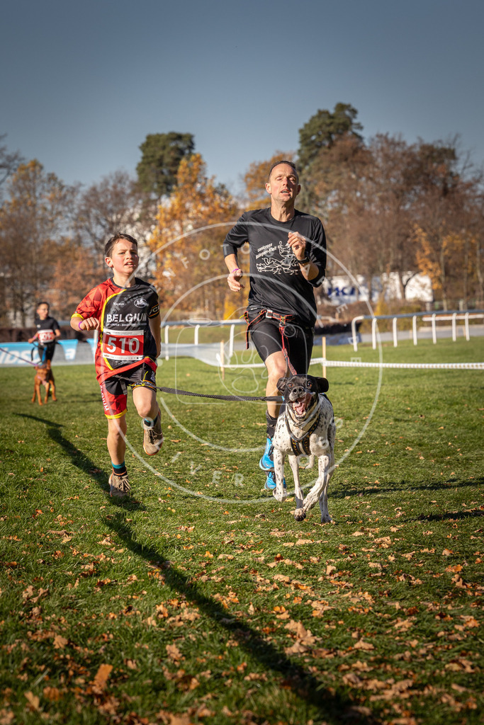 CaniXpix_0L8A6781 | Hundefotografie, Tierfotograf, Pfotenfotografie, Fotoshooting Hund, Hunde Portrait, Hundesport, Hundeportraits, Heideshooting, Hunde, Sportfotograf, Hundefotograf, Turnierhundsport, THS,  - Realisiert mit Pictrs.com