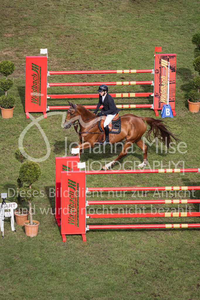 230715_LC_M2-SprmstAnf-720 | Deine schönsten Turniermomente als professionelle Fotos! Entdecke hochwertige Pferdesport-Fotografie im Online-Shop. Jetzt Fotos finden & bestellen!