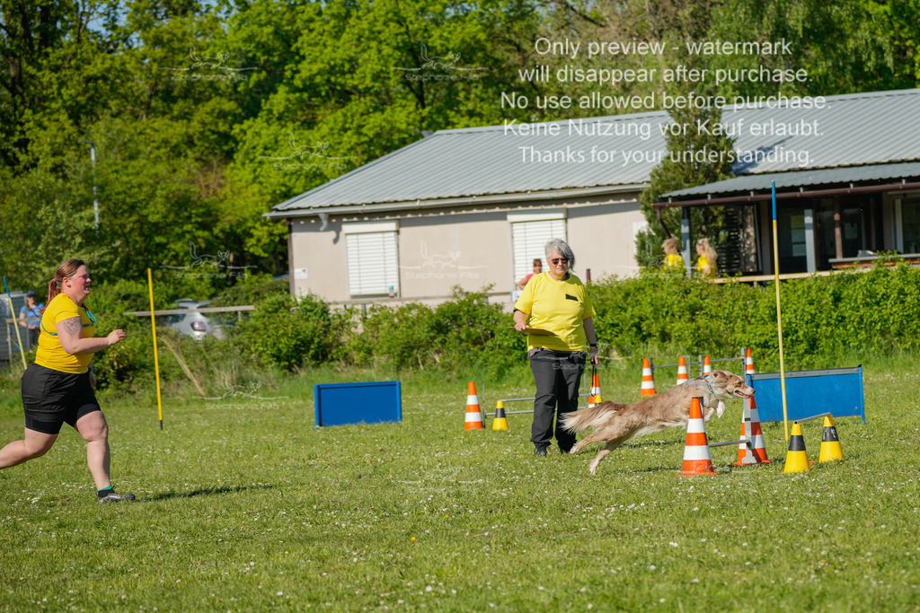 Sa_CSC-226 | stephaniefillaphotographie - Realisiert mit Pictrs.com