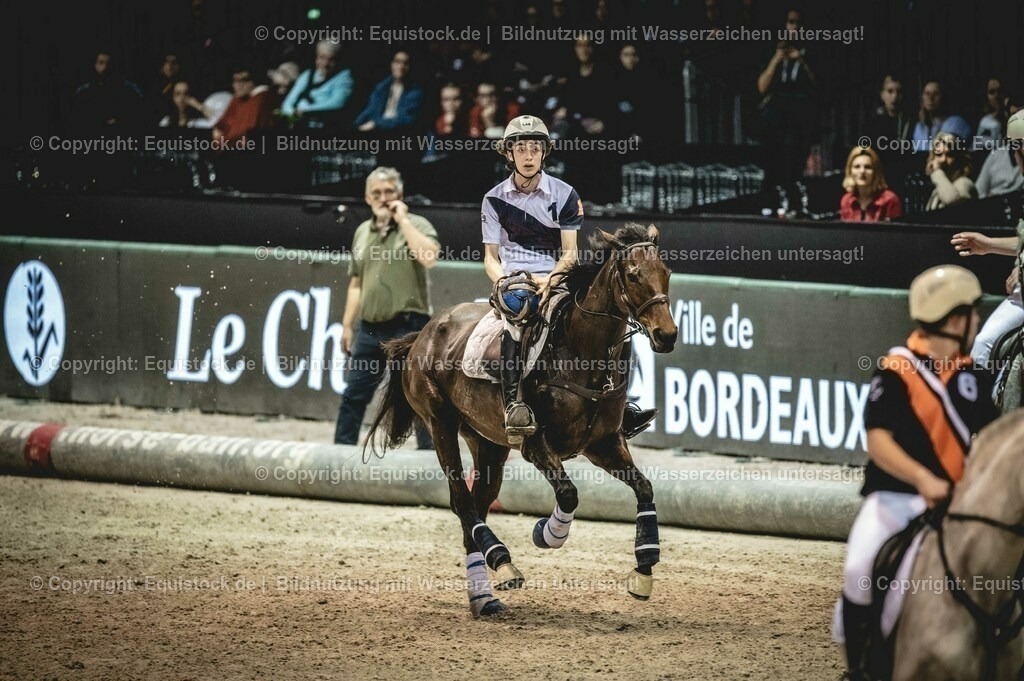 20240202_Horseball_0035 | Foto: Thomas Hartig