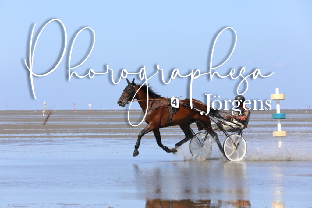 IMG_9507 | photographesa-joergens - Realisiert mit Pictrs.com