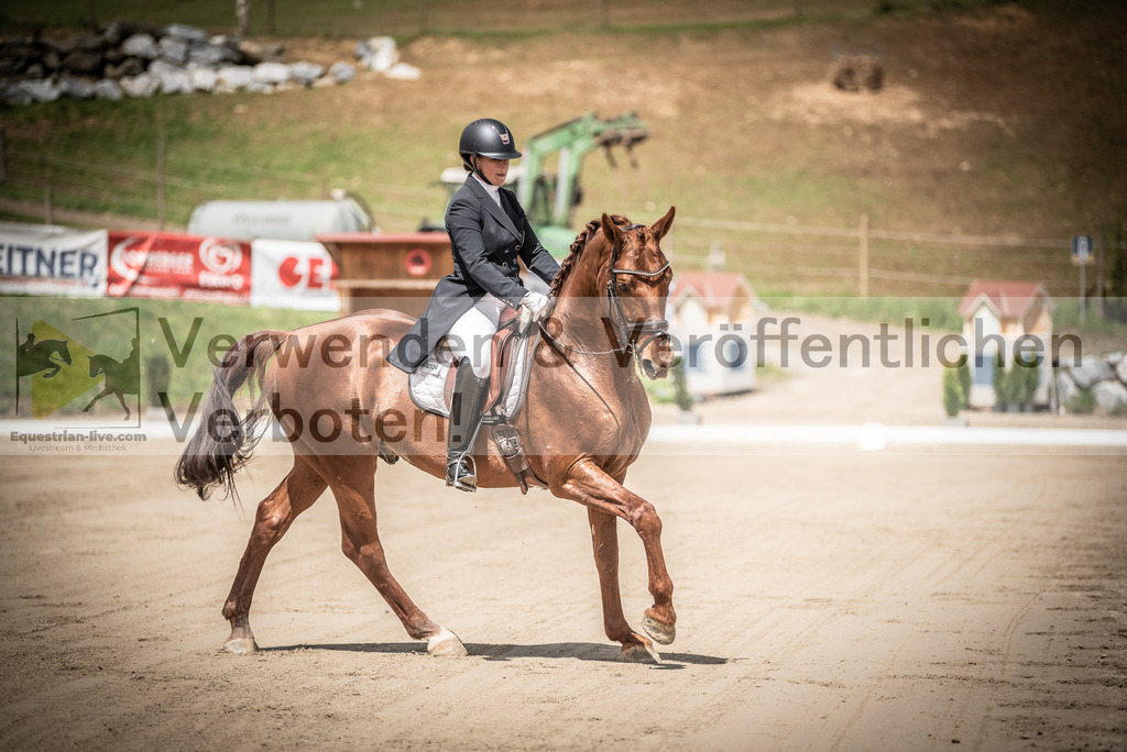 DSC_1535 | equestrian-live-com