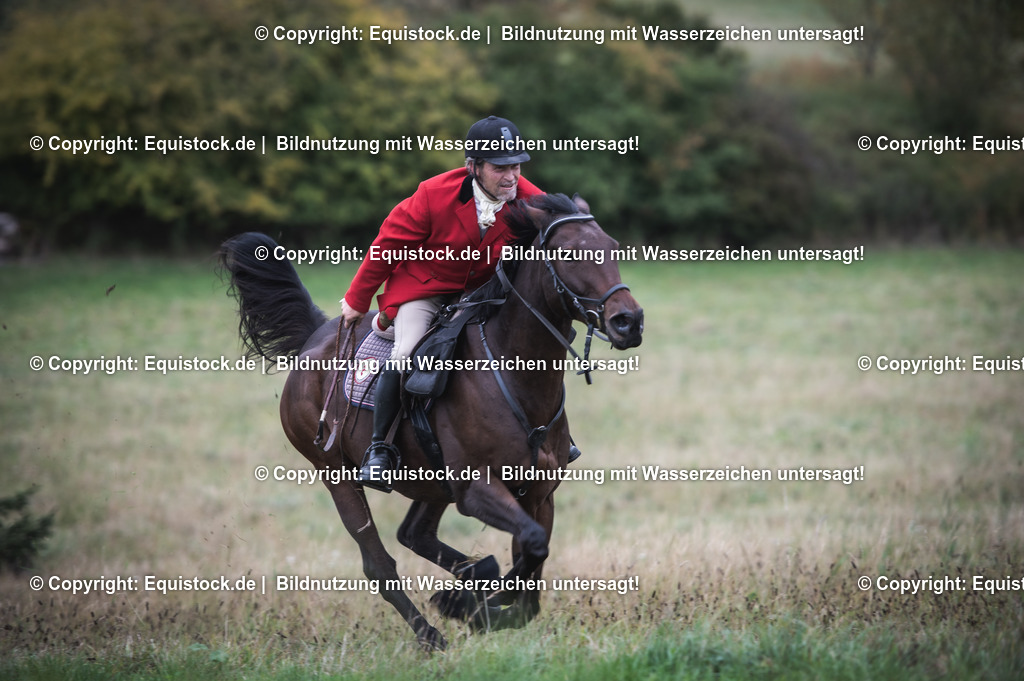 20241013_Jagd-Marbach_0294 | Foto: Thomas Hartig