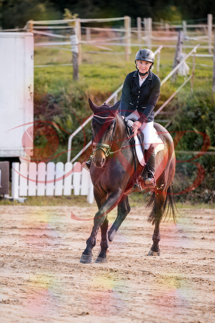 2026_10_03_Siefer-Hof_144106_Z81_13133390 | Professionelle Reitsport-, Turnier- und Eventfotografie von Robert Broda. Galerien mit ausgewählten und bearbeiteten Bildern direkt online ansehen und bestellen.