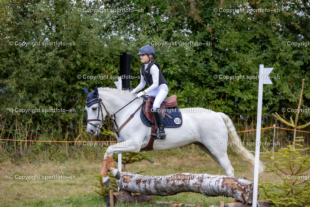 20250830-25VW6482-2 | Sportfoto SH - Realisiert mit Pictrs.com