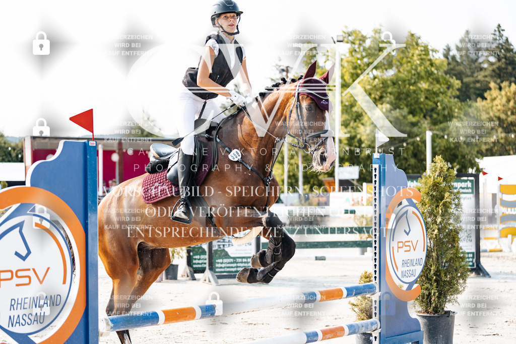 CK902852 | Turnierfotografie Pferdefotografie Trier Rheinland-Pfalz Pferdesport Reitsport Tierfotografie Sportfotografie Pferdevideo Pferdevideografie Equestrianvideography equestrianphotography  - Realisiert mit Pictrs.com