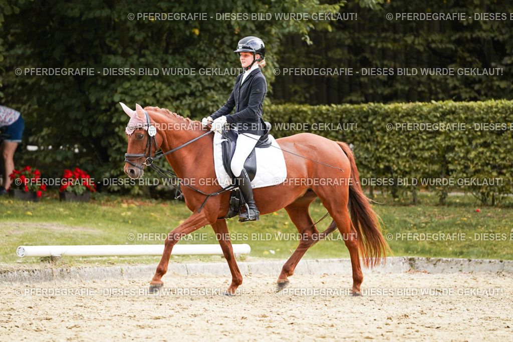 DSC00909 | Pferdegrafie