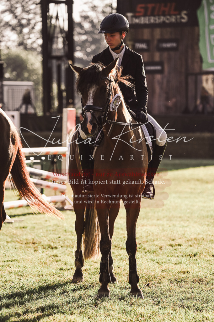 DSC_4568 | Pferde- und Turnierfotografie in Westsachsen. Pferdeportraits, Auftragszeichnungen und intuitive Kunst.