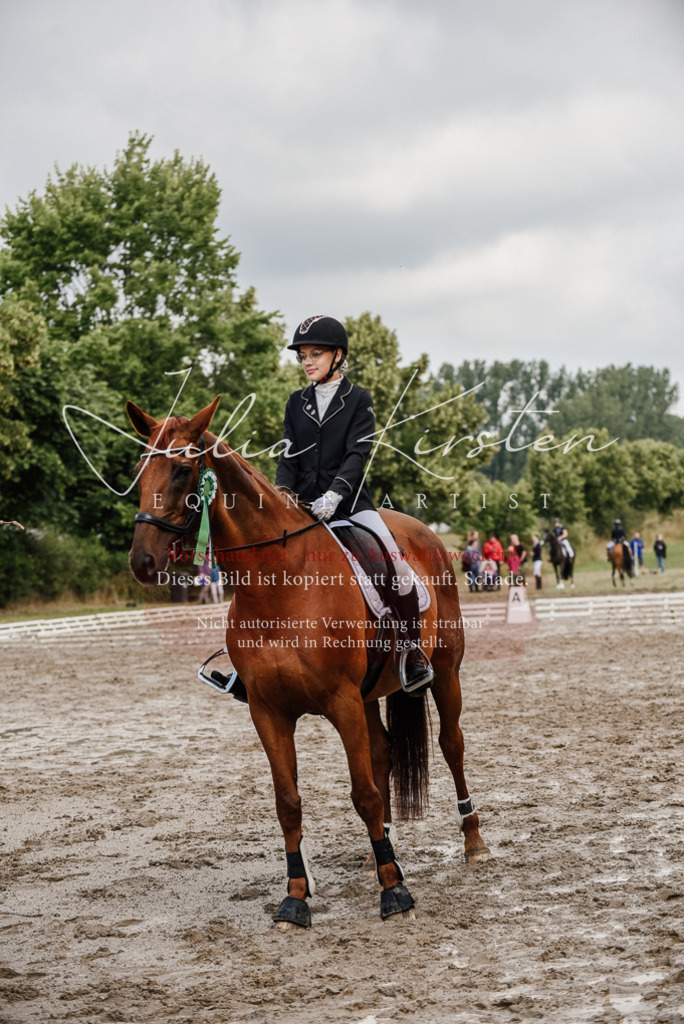 DSC_9375 | Pferde- und Turnierfotografie in Westsachsen. Pferdeportraits, Auftragszeichnungen und intuitive Kunst.