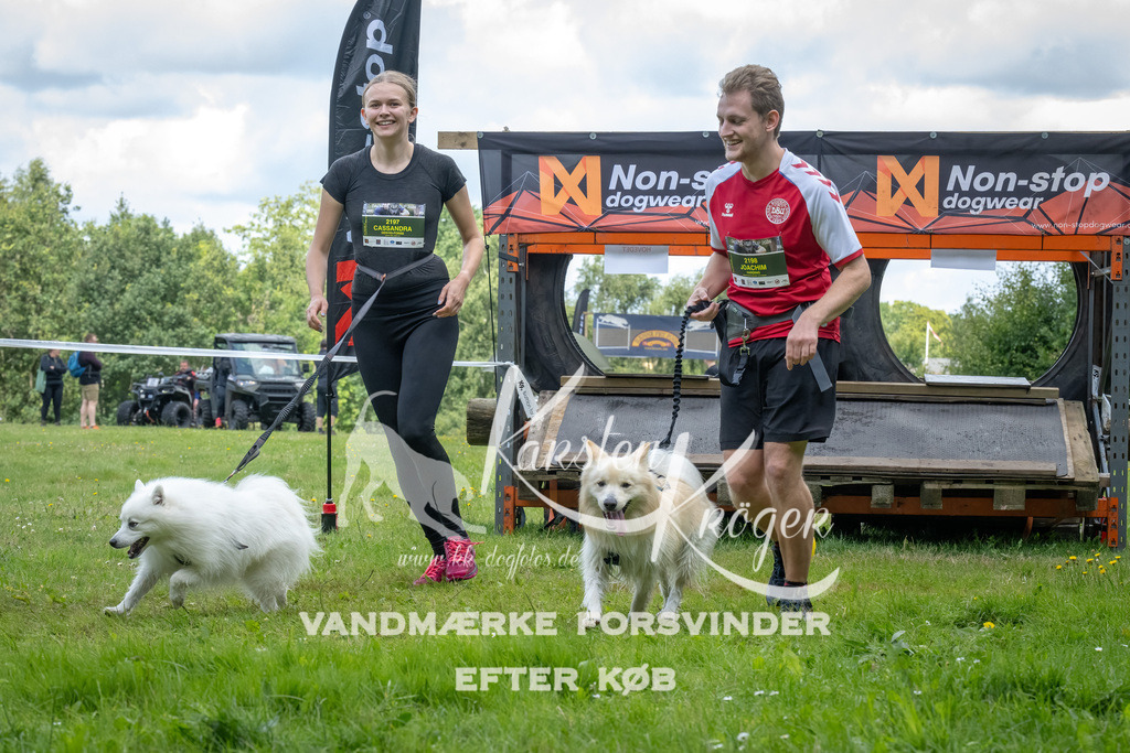 1329_ZZ90082-Bearbeitet | kk-dogfotos