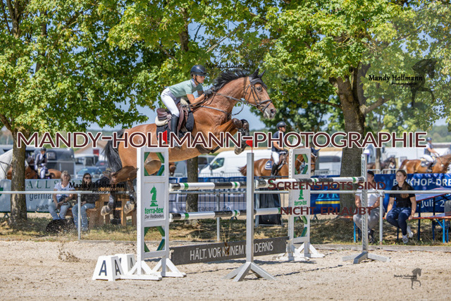 26-7-24 SPF m++-106 | mandyhollmannphotographie