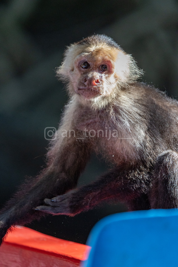 JB3A3218 | antonija-trupina - Realisiert mit Pictrs.com