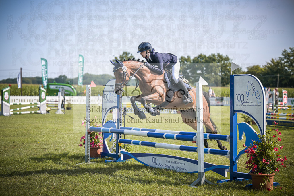DOS_2560 | Entdecke hochwertige Reitturnierfotos von Foto Oger. Professionell, emotional und authentisch – jetzt Lieblingsmomente im Shop bestellen.Deutschlandweite Turnierfotografie. - Realisiert mit Pictrs.com