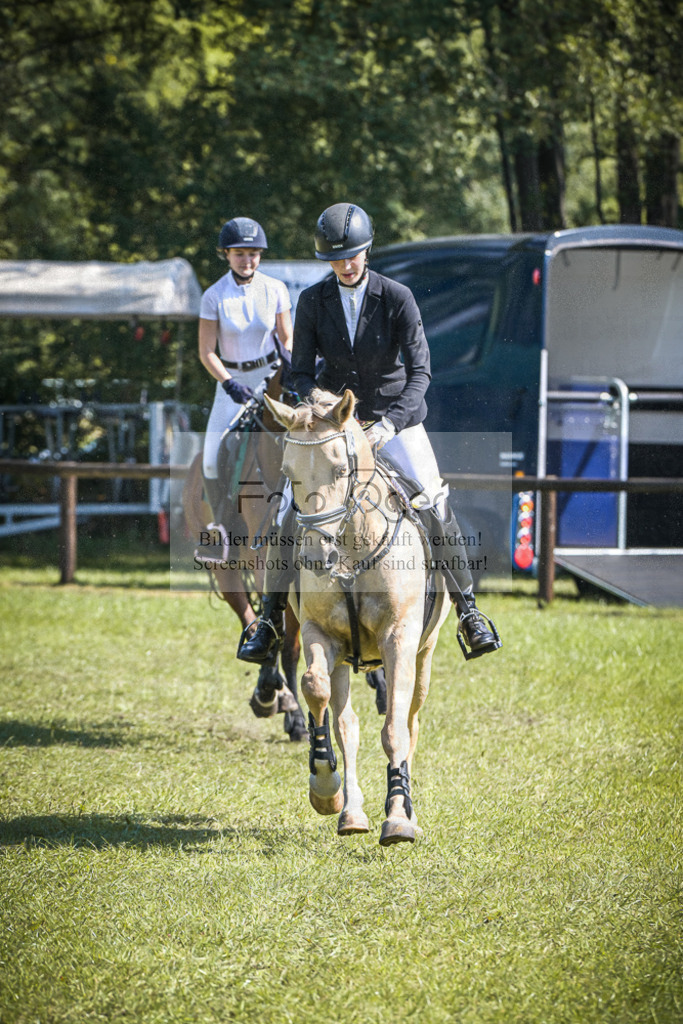 DOS_0024 | Entdecke hochwertige Reitturnierfotos von Foto Oger. Professionell, emotional und authentisch – jetzt Lieblingsmomente im Shop bestellen.Deutschlandweite Turnierfotografie. - Realisiert mit Pictrs.com