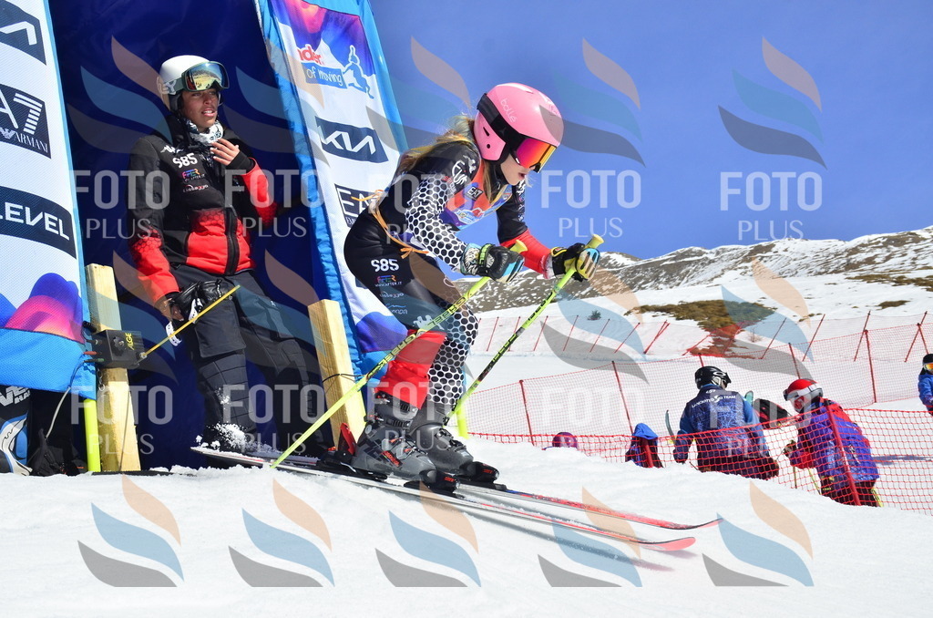 _ELE0237 | holidayphoto