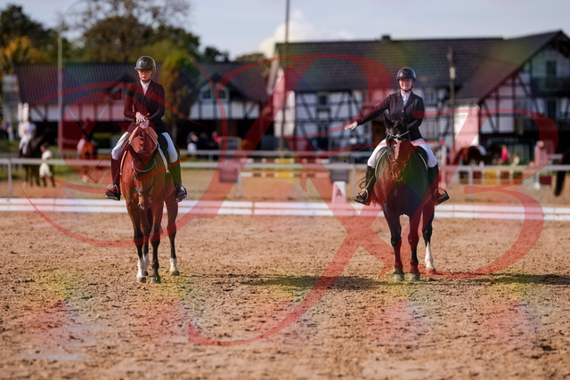 2026_10_03_Siefer-Hof_131941_Z81_69299070 | Professionelle Reitsport-, Turnier- und Eventfotografie von Robert Broda. Galerien mit ausgewählten und bearbeiteten Bildern direkt online ansehen und bestellen.