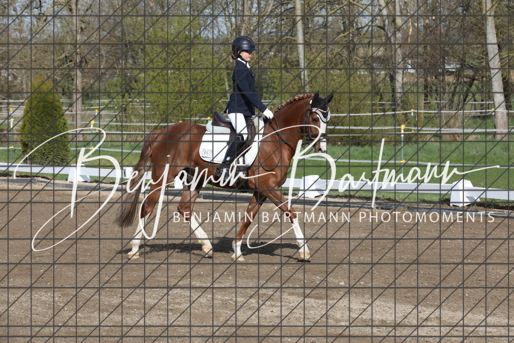 AZ2A2752 | Benjamin Bartmann Photomoments