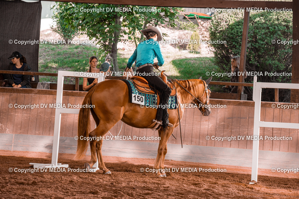 NE200120 | dv-media-shop - Realisiert mit Pictrs.com