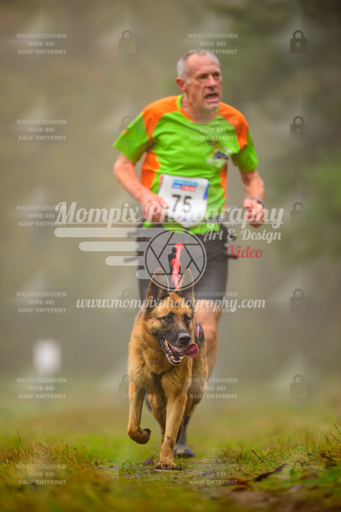 MompixPhotography_Bischwiller2025_Canicross-45 | mompixphotography