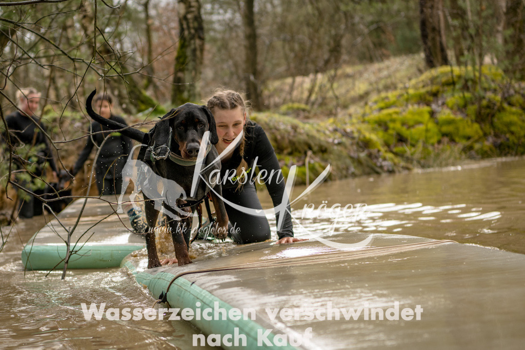 1321_ZZ90177 | kk-dogfotos