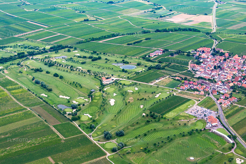 Luftbild: Dackenheim, Golfplatz in Dackenheim im Bundesland Rheinland-Pfalz in Deutschland. Foto: IMG_092134.jpg vom 16.07.2016 durch Werner Riehm/FLY-FOTO.de