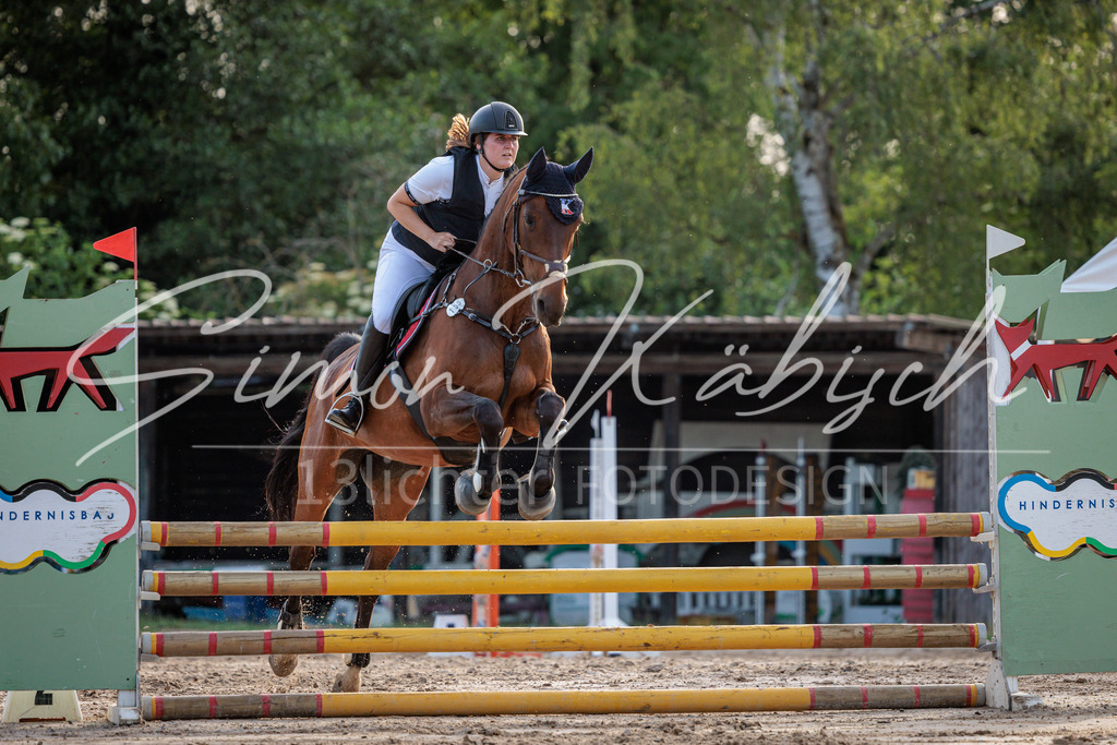 20260529-_3LI1362 | Tierfotografie Pferde, Hunde, Katzen, Haustiere.
Turnierfotografie Reitturniere, Reiten, Springreiten, Dressur in Hanau, dem Main-Kinzig-Kreis und dem Rhein-Main- Gebiet um Frankfurt